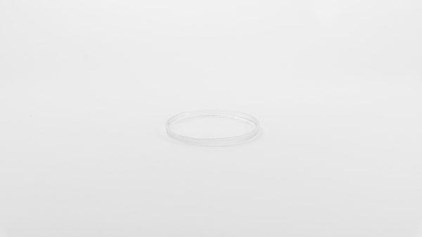 Rexy Plate Clear 4.72" 32 pcs