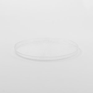 Rexy Plate Clear 8.25" 8 pcs