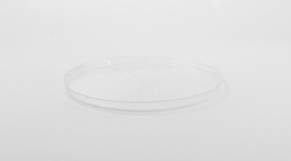 Rexy Plate Clear 11" 6 pcs